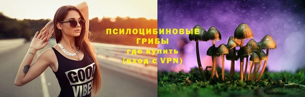 прущие грибы Аркадак