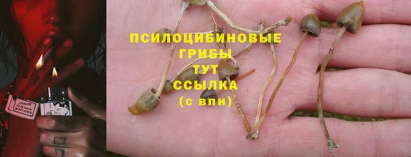 индика Слюдянка