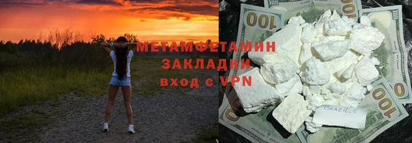 прущие грибы Аркадак