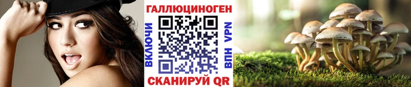 купить закладку  Козьмодемьянск  Галлюциногенные грибы прущие грибы 